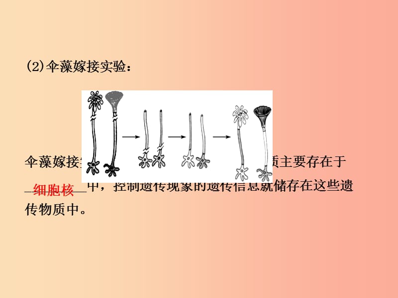 济宁专版2019年中考生物第四单元第四章复习课件.ppt_第3页