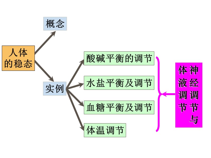 动物生命活动的调节(复习).ppt_第2页