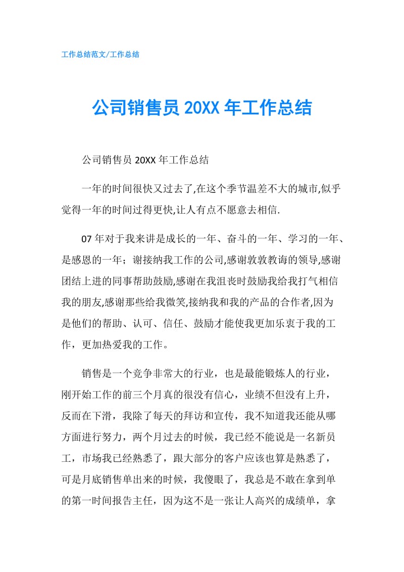 公司销售员20XX年工作总结.doc_第1页