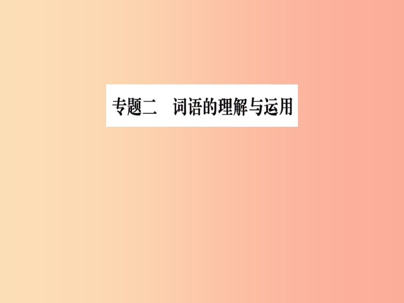 2019九年级语文下册 期末专题复习二 词语的理解与运用习题课件 新人教版.ppt_第1页