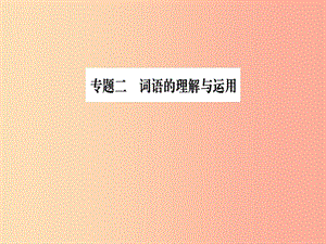 2019九年級語文下冊 期末專題復(fù)習(xí)二 詞語的理解與運用習(xí)題課件 新人教版.ppt