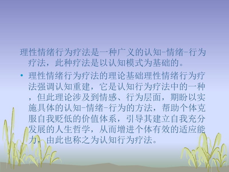 埃利斯的理性情绪行为疗法.ppt_第3页