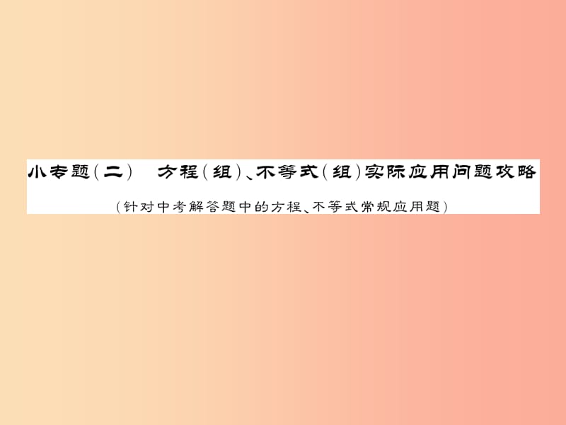 （课标版通用）2019中考数学总复习 第二轮 小专题集训 题型专攻 小专题（二）习题课件.ppt_第1页