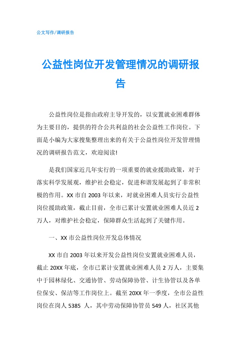 公益性岗位开发管理情况的调研报告.doc_第1页