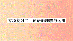 2019年七年級語文下冊 專項復習2 詞語的理解與運用習題課件 新人教版.ppt