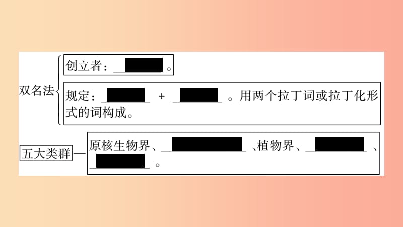 广西省玉林市2019年八年级生物下册 第七单元 第22章 第1节 生物的分类课件（新版）北师大版.ppt_第3页