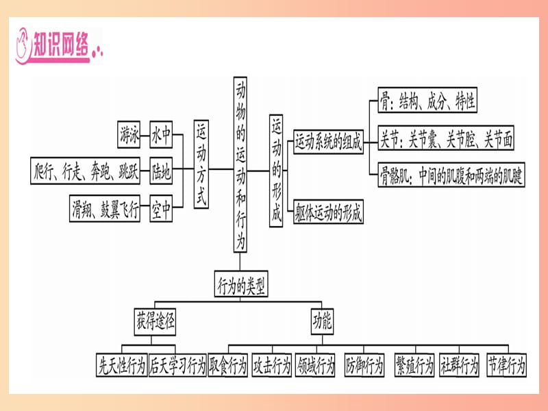 （贵港地区）2019年中考生物总复习 第二篇 知能综合突破 专题4 动物的运动和行为课件.ppt_第2页