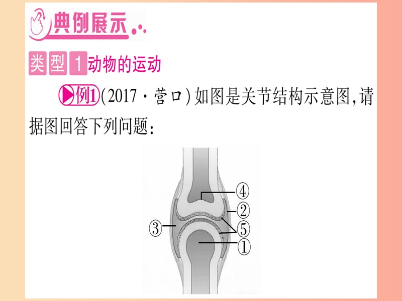 （贵港地区）2019年中考生物总复习 第二篇 知能综合突破 专题4 动物的运动和行为课件.ppt_第3页