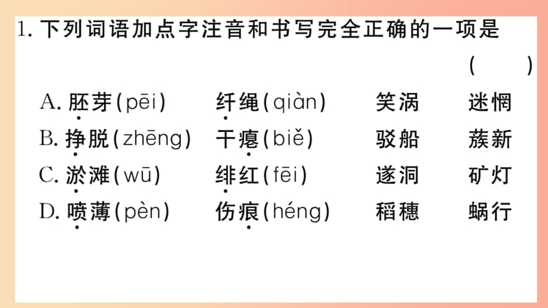 九年级语文下册 第一单元 1 祖国啊我亲爱的祖国习题课件 新人教版.ppt_第2页