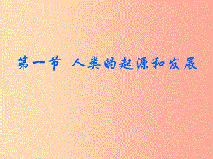 七年級生物下冊4.1.1人類的起源和發(fā)展課件3 新人教版.ppt