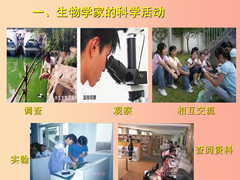 2019年七年级生物上册 2.1 生物学是探索生命的科学课件（新版）北师大版.ppt_第2页