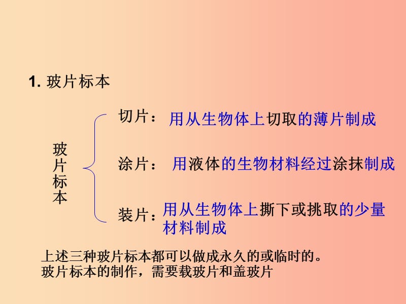 辽宁省凌海市2019年七年级生物上册 2.1.2植物细胞课件 新人教版.ppt_第3页