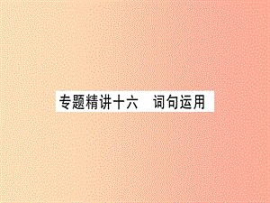 （課標版）2019年中考英語準點備考 專題精講十六 詞句運用課件.ppt