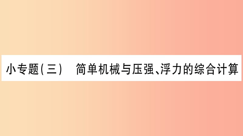 2019年中考物理 第26讲 物理总汇的相关计算专题 简单机械与压强、浮力的综合运算习题课件.ppt_第1页