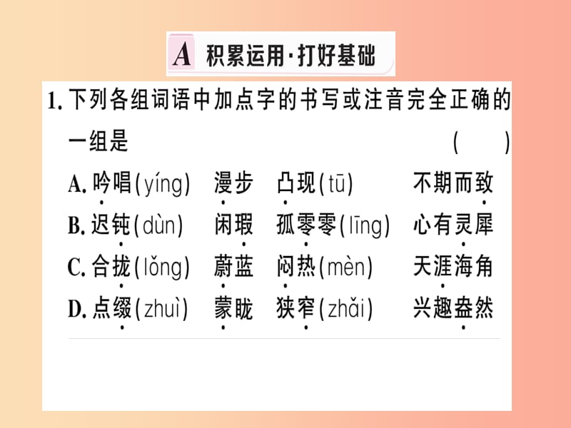 （武汉专版）2019春七年级语文下册 第六单元 23 带上她的眼睛习题课件 新人教版.ppt_第2页