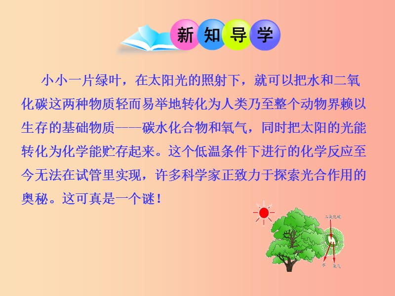 九年级化学上册 第一单元 步入化学殿堂 第二节 体验化学探究课件 （新版）鲁教版.ppt_第3页