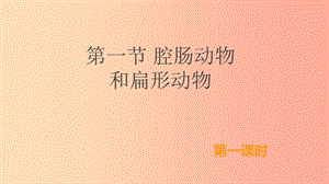 八年級生物上冊 5.1.1《腔腸動物和扁形動物》（第1課時）課件 新人教版.ppt