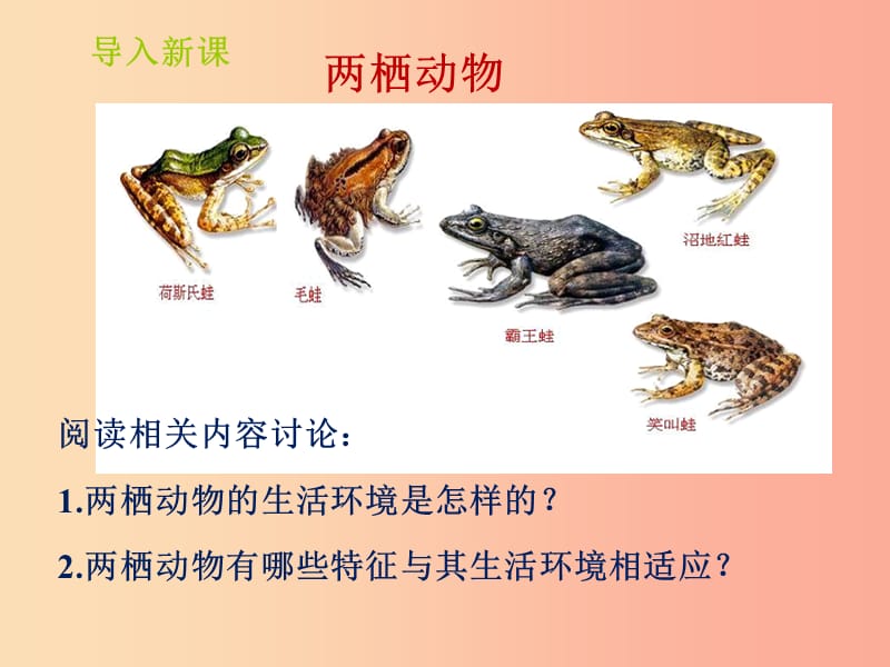 山东省七年级生物上册 2.2.2《脊椎动物的主要类群》（第2课时）课件（新版）济南版.ppt_第3页