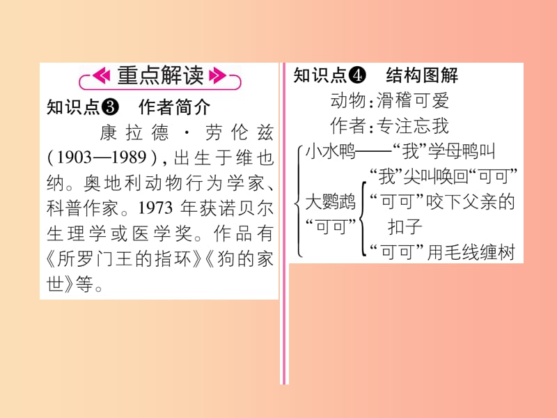 （安徽专版）2019年七年级语文上册 第五单元 17 动物笑谈作业课件 新人教版.ppt_第3页