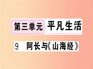 （武漢專版）2019春七年級語文下冊 第三單元 9 阿長與《山海經(jīng)》習(xí)題課件 新人教版.ppt