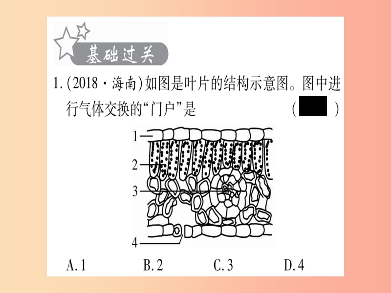 2019年中考生物第3单元第3_5章绿色植物在生物圈中的作用复习习题课件冀教版.ppt_第2页