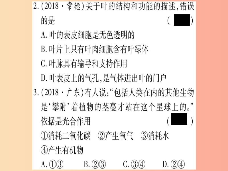 2019年中考生物第3单元第3_5章绿色植物在生物圈中的作用复习习题课件冀教版.ppt_第3页