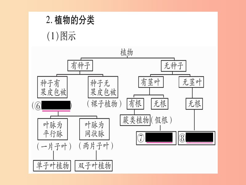 （玉林专版）2019年中考生物总复习 八上 第6单元 生物的多样性及其保护课件.ppt_第3页