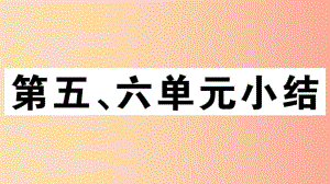 （玉林專版）2019春八年級歷史下冊 第五、六單元小結(jié)習(xí)題課件 新人教版.ppt