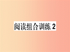 （江西專版）2019春八年級(jí)語(yǔ)文下冊(cè) 閱讀組合訓(xùn)練2課件 新人教版.ppt