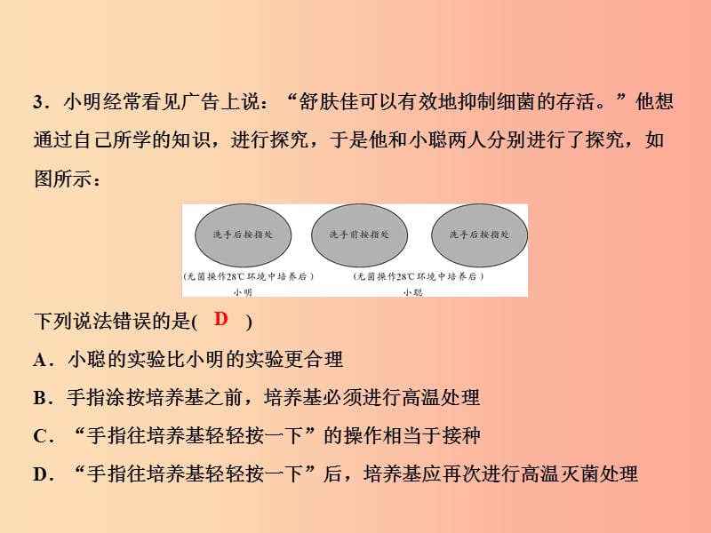 2019年八年级生物上册 第5单元 第5章 病毒双休自测习题课件 新人教版.ppt_第3页