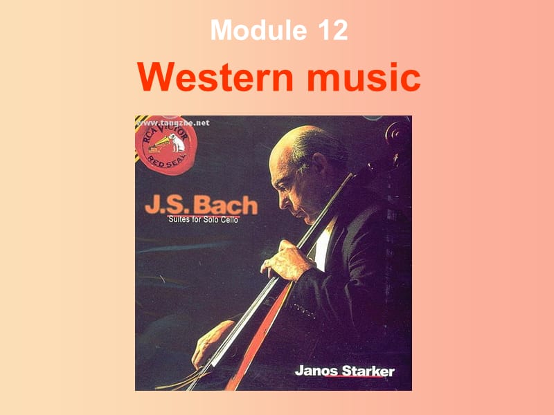 七年级英语下册 Module 12 Western music Unit 2 Vienna is the European classical music课件 外研版.ppt_第1页