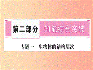 （玉林專版）2019年中考生物總復習 第2部分 知能綜合突破 專題1 生物體的結(jié)構(gòu)層次課件.ppt