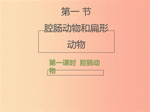 八年級生物上冊 7.1.1《腔腸動物和扁形動物》（第1課時）課件 魯科版五四制.ppt