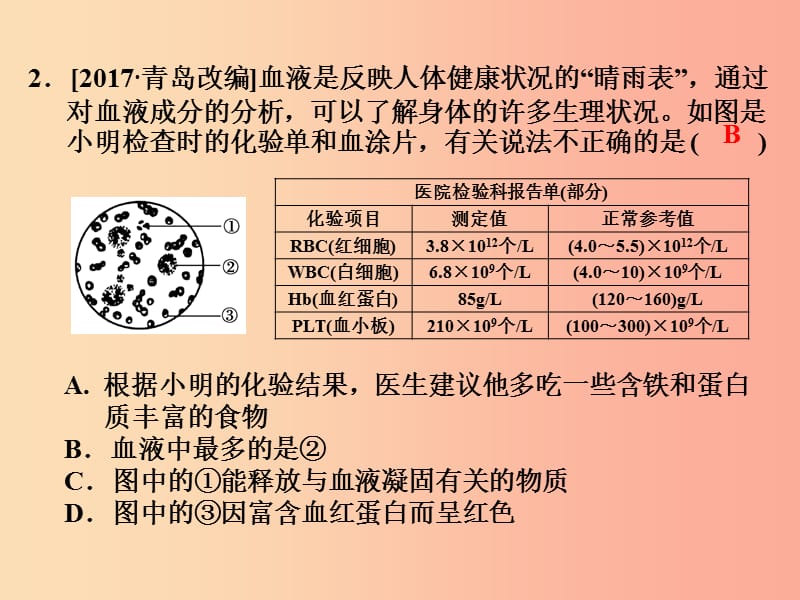 浙江省中考科学（生物部分）第一篇 主题2 第二单元 人体的物质与能量的转换（2）课件.ppt_第3页