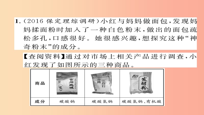 （河北专版）2019届中考化学复习 第二编 重点题型突破篇 专题8 实验探究题（精练）课件.ppt_第2页