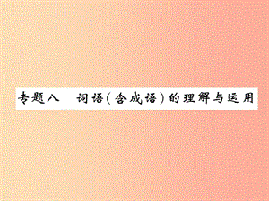 （百色專版）2019屆中考語(yǔ)文總復(fù)習(xí) 專題8 詞語(yǔ)(含成語(yǔ))的理解與運(yùn)用課件.ppt