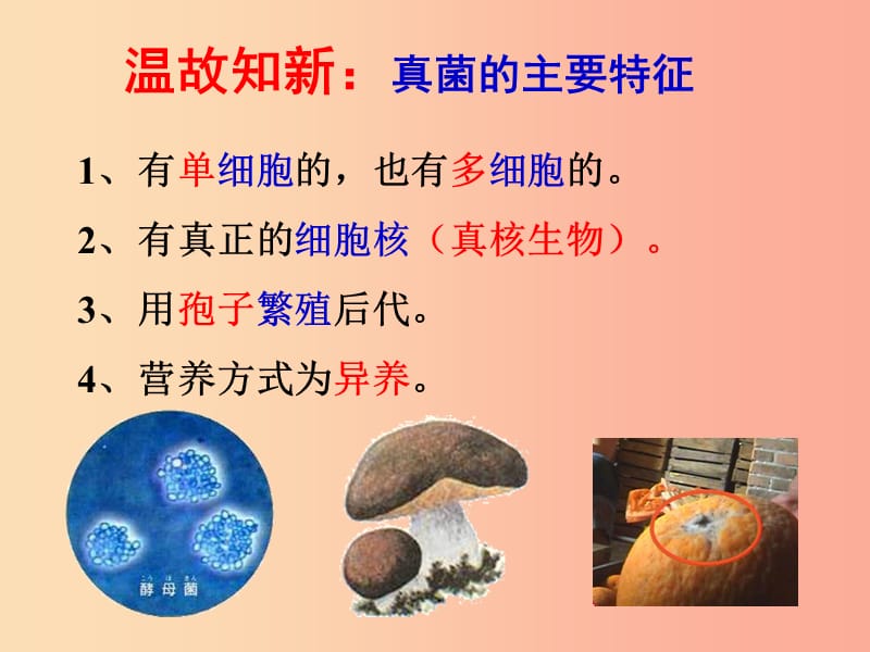 八年级生物上册5.4.4细菌和真菌在自然界中的作用课件2 新人教版.ppt_第2页