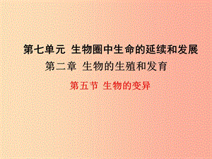 2019年春八年級生物下冊 第七單元 第二章 第五節(jié) 生物的變異課件 新人教版.ppt