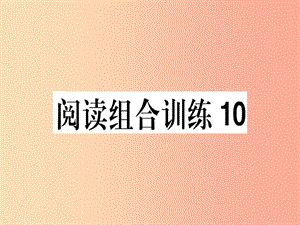 （江西專(zhuān)版）2019春八年級(jí)語(yǔ)文下冊(cè) 閱讀組合訓(xùn)練10課件 新人教版.ppt