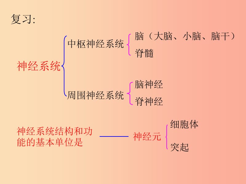 七年级生物下册4.6.3神经调节的基本方式复习课件 新人教版.ppt_第2页