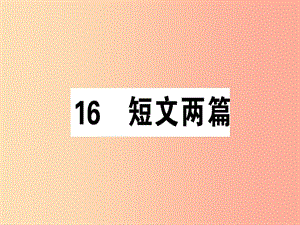 （安徽專版）2019春七年級語文下冊 第四單元 16 短文兩篇習(xí)題課件 新人教版.ppt