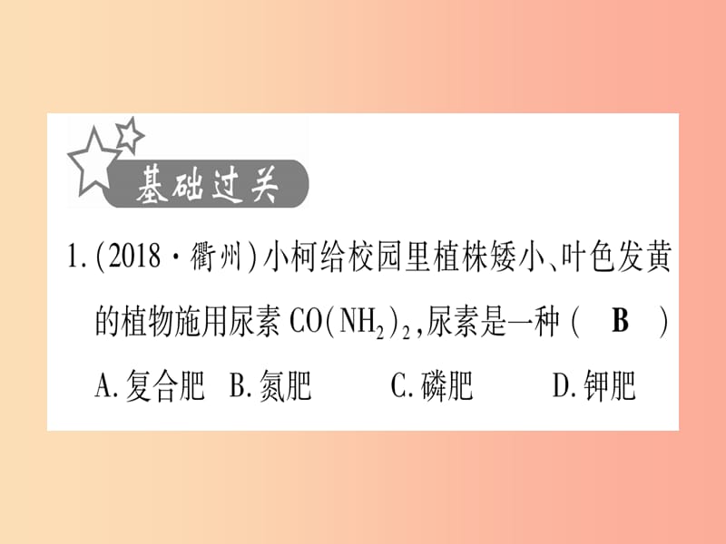 （甘肃专用）2019中考化学 第11单元 盐 化肥（提分精练）课件.ppt_第2页