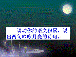 七年級語文下冊 第23課《記承天寺夜游》課件1 北京課改版.ppt