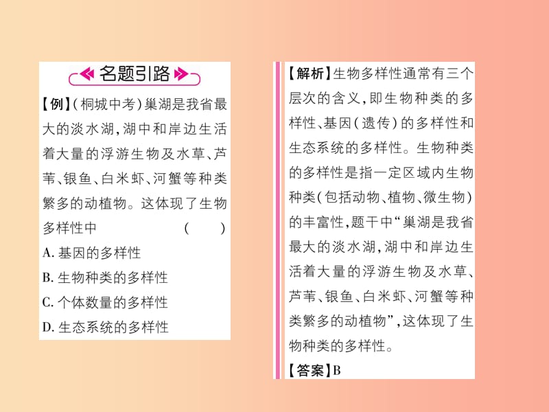 2019年八年级生物上册 第6单元 第2章认识生物的多样性练习课件 新人教版.ppt_第3页