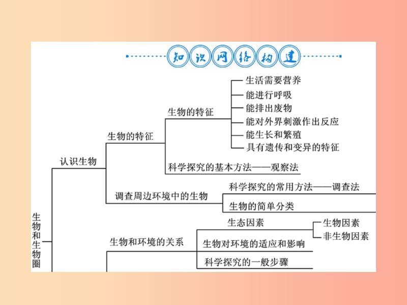 2019年七年级生物上册 第1单元 生物和生物圈整理与复习习题课件 新人教版.ppt_第2页