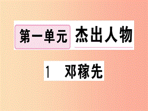 （武漢專版）2019春七年級語文下冊 第一單元 1 鄧稼先習(xí)題課件 新人教版.ppt