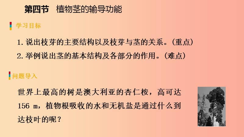 2019年七年级生物上册第三单元第五章第四节植物茎的输导功能课件新版苏教版.ppt_第3页