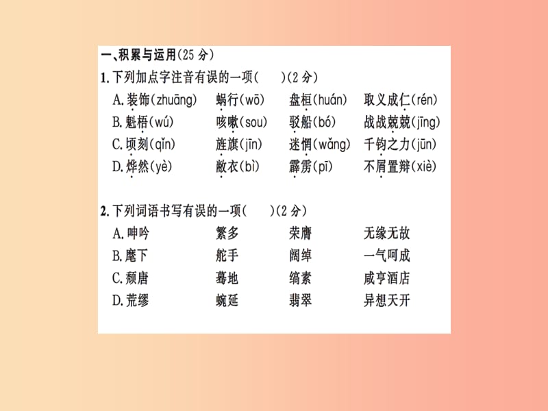 2019九年级语文下册 期中测试习题课件 新人教版.ppt_第2页