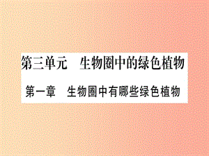 （玉林專版）2019年中考生物總復(fù)習(xí) 七上 第3單元 第1章 生物圈中有哪些綠色植物課件.ppt