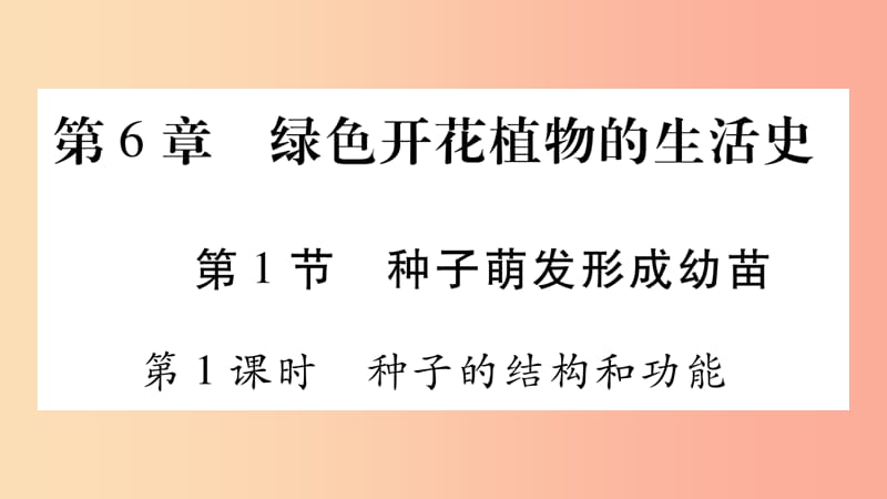 2019秋七年级生物上册第三单元第6章第1节种子萌发形成幼苗第1课时习题课件（新版）北师大版.ppt_第1页